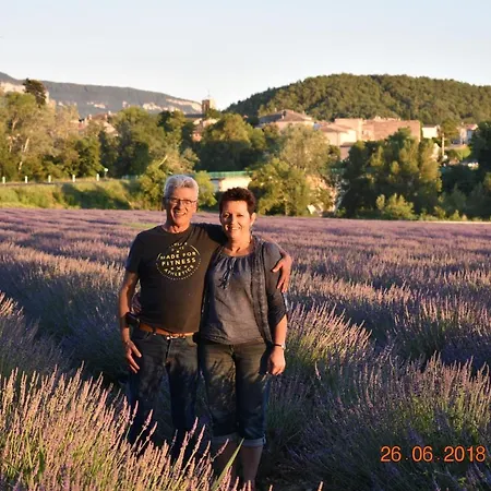 Les Cigales